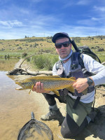 inbound1768522731415320423