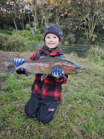 inbound2029310685070526485