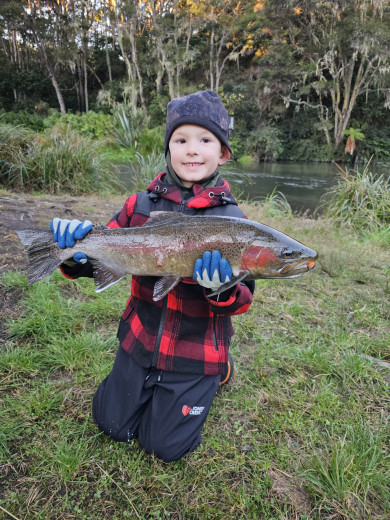 inbound2029310685070526485