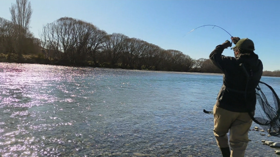 inbound3251975352062650275