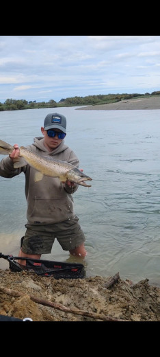 inbound4086152754859926644