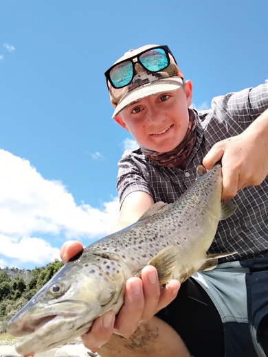 inbound4239659341350717734