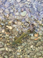 inbound5311359426455647283