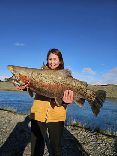 inbound5575525907109833497