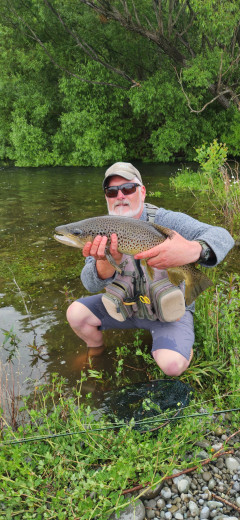 inbound573193735596924752