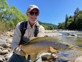 inbound6458938576517769343