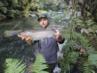 inbound6626246414269123253