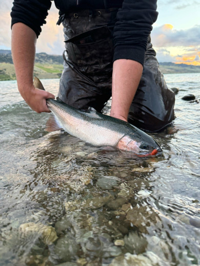 inbound6700861947878835829