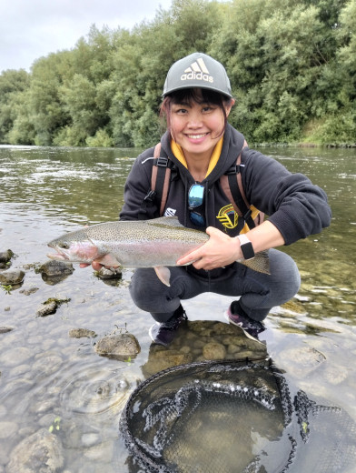 inbound8487230298010281442