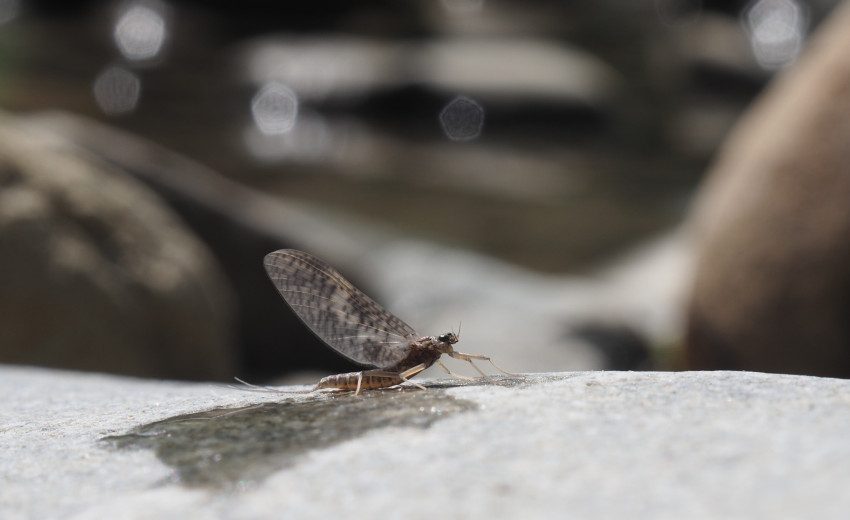 inbound849921821980625278