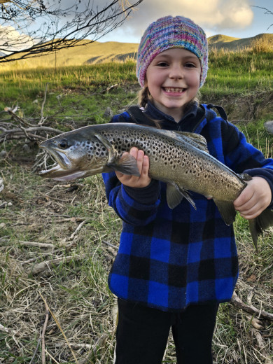 inbound8752556240357801786