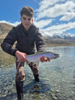 inbound9177229696833663442