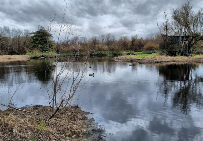 20230401 112146 DRO 1