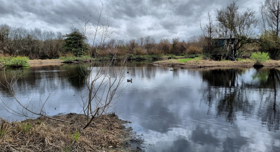 20230401 112146 DRO 1